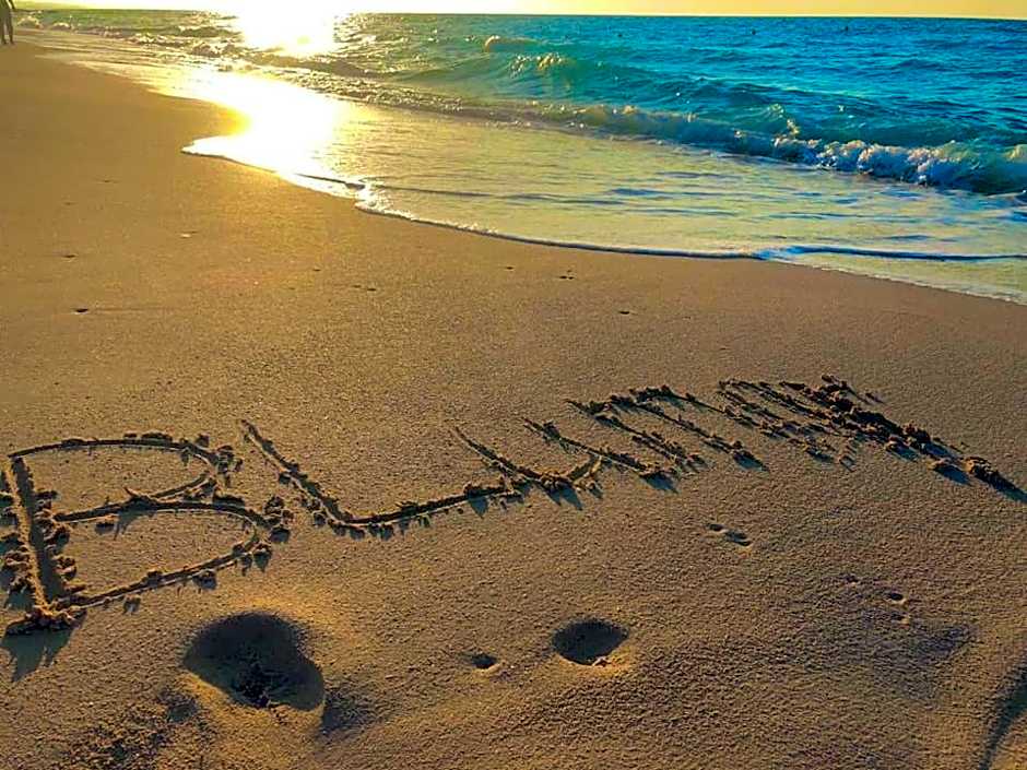 Yahia Blumar North Coast