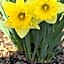 Sov Godt i Arnborg Bed & Breakfast