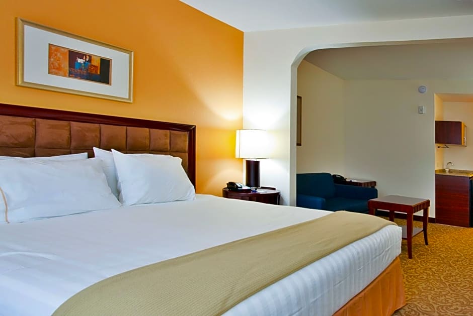 Holiday Inn Express Hotel & Suites Brooksville-I-75