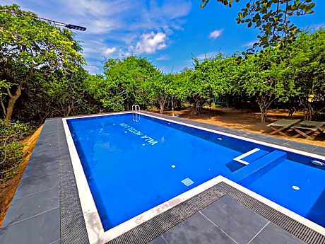 Yala Hotel Lion-Air Conditioned High Luxury Safari