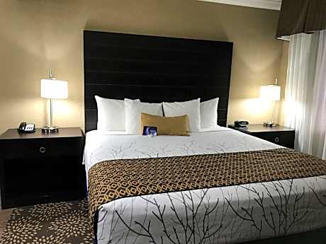 1 Queen Bed Non-Smoking Pillow Top Mattress Larger Room Microwave And Refrigerator Sofa Full Breakfa