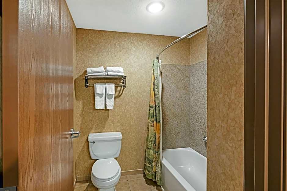 Best Western Plus Kelly Inn And Suites