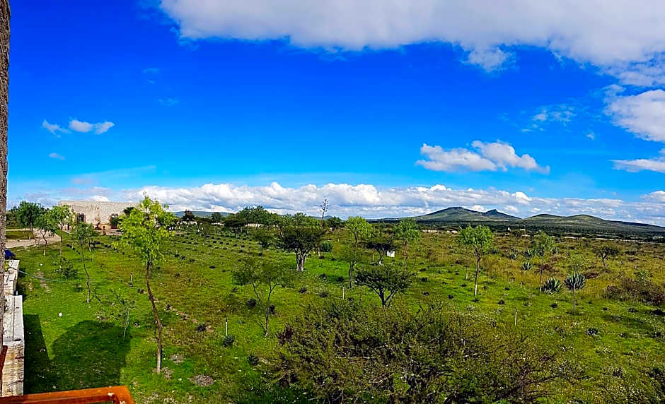Mineral del Cielo
