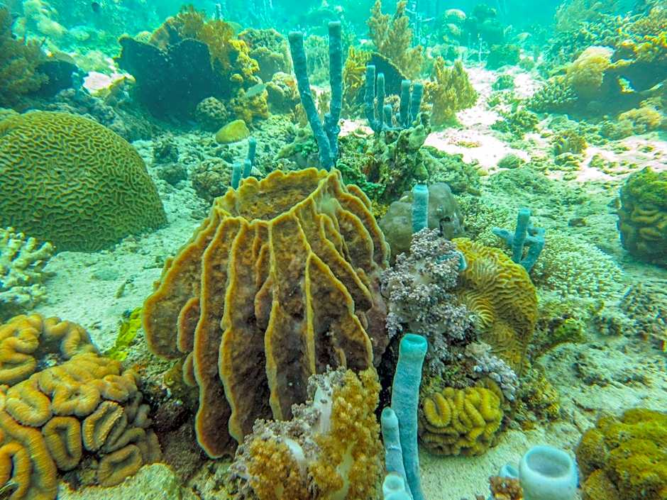 HAKS Boutique B&B with Pool & Farm-to-Table Dining