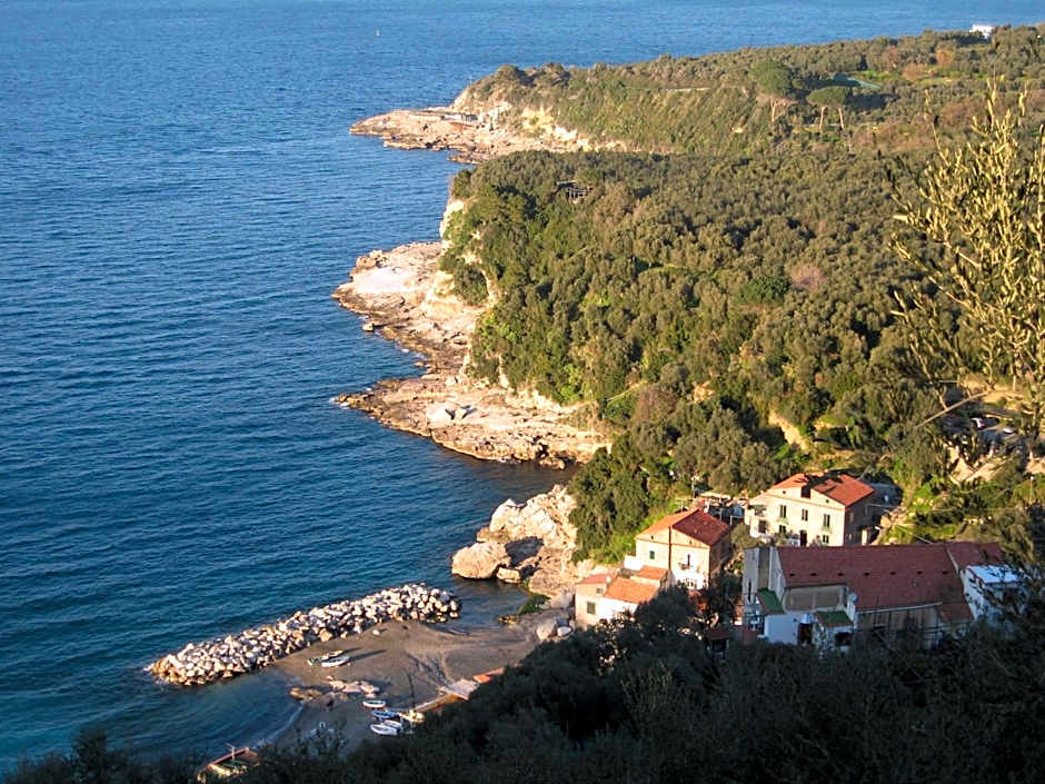Hotel Villa Igea