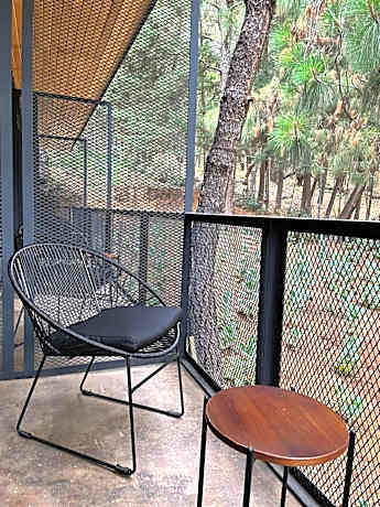 Hotel Oxú & Gampling Solo adultos