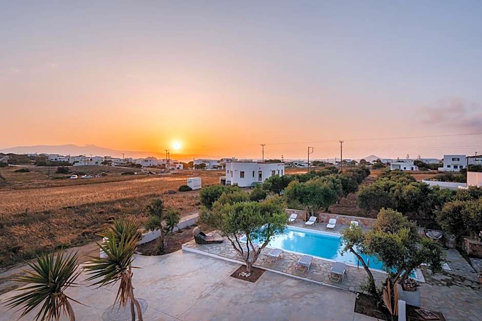 Photo 1 sur 50 de Diamantis Studios&Apartments