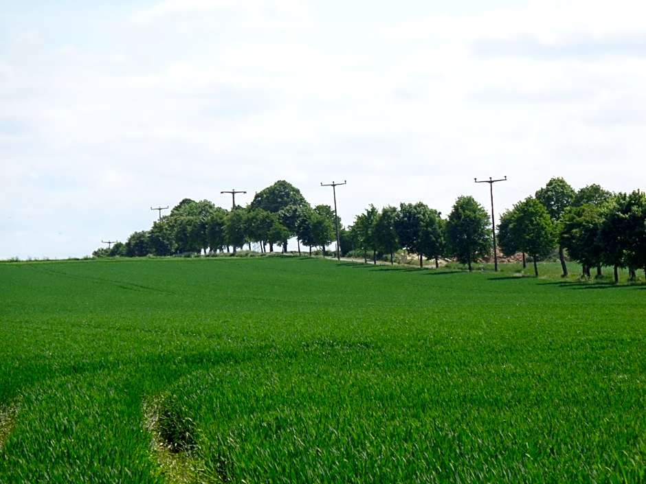 Hotel Apartment Puell