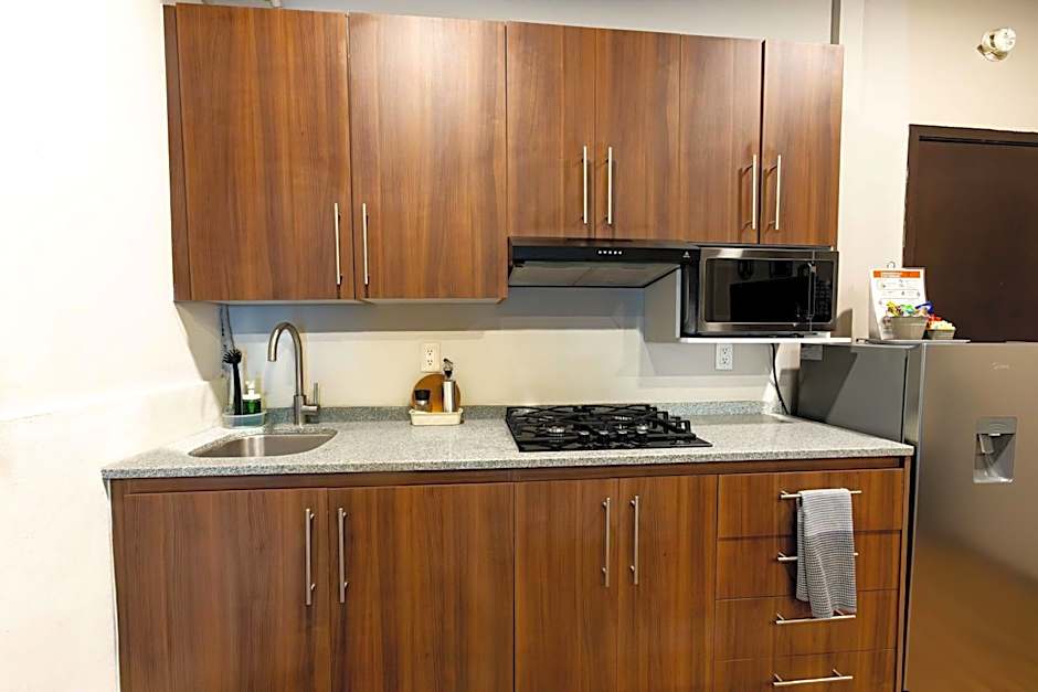 505 Heart of CDMX 1Bdrm 1bath apt AC Rooftop