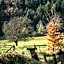 Natur & Wander Hotel Gassbachtal