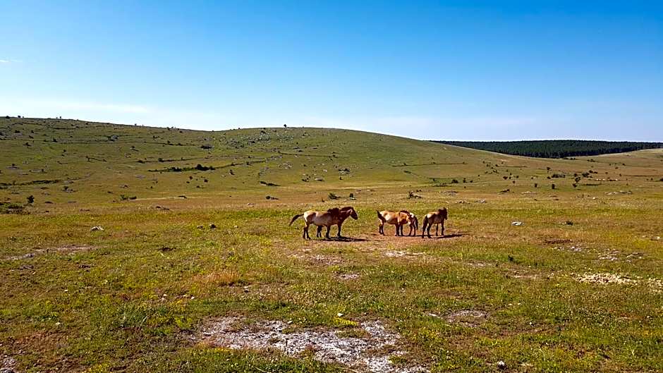 Les GARGOUILLES Gorges du Tarn - Millau