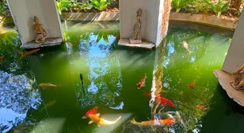 khaoyai lumtakong hotel