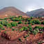 Riad Lorsya