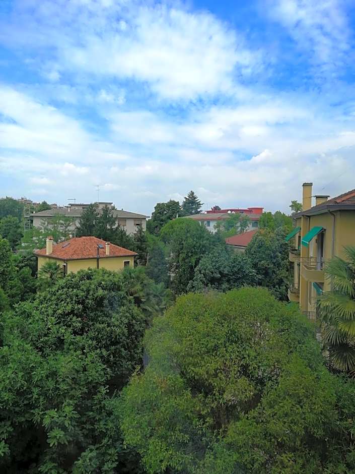 City of Art Venice LLoyd