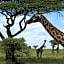 African Sunrise Lodge and Campsite