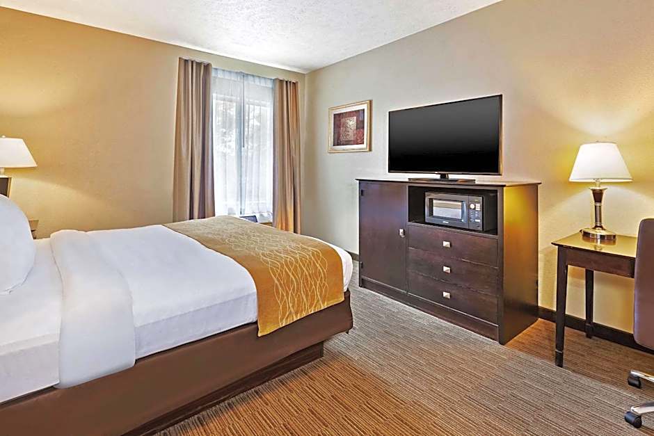 Comfort Inn Whitehall Near Michigan's Adventure