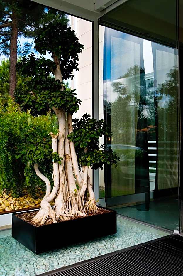 Flag Hotel Miravillas