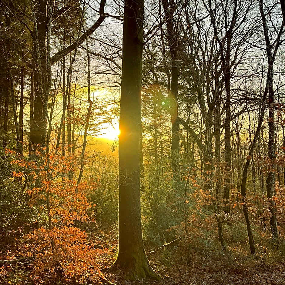 Silent Valley Bed & Breakfast