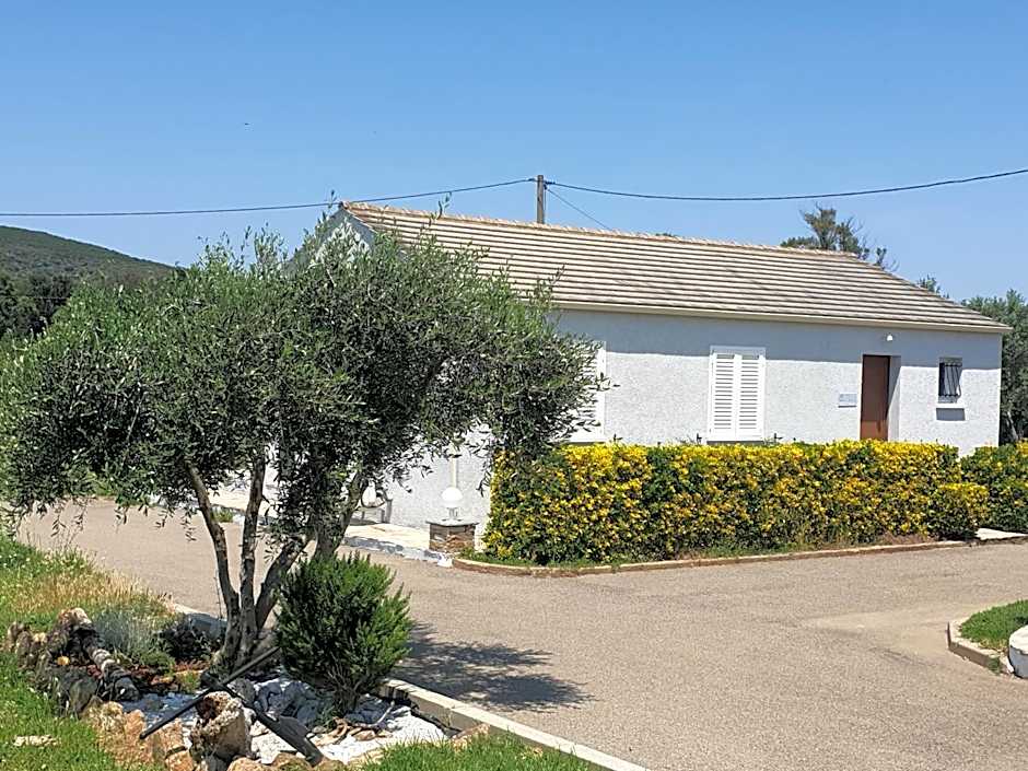 Stella Marina