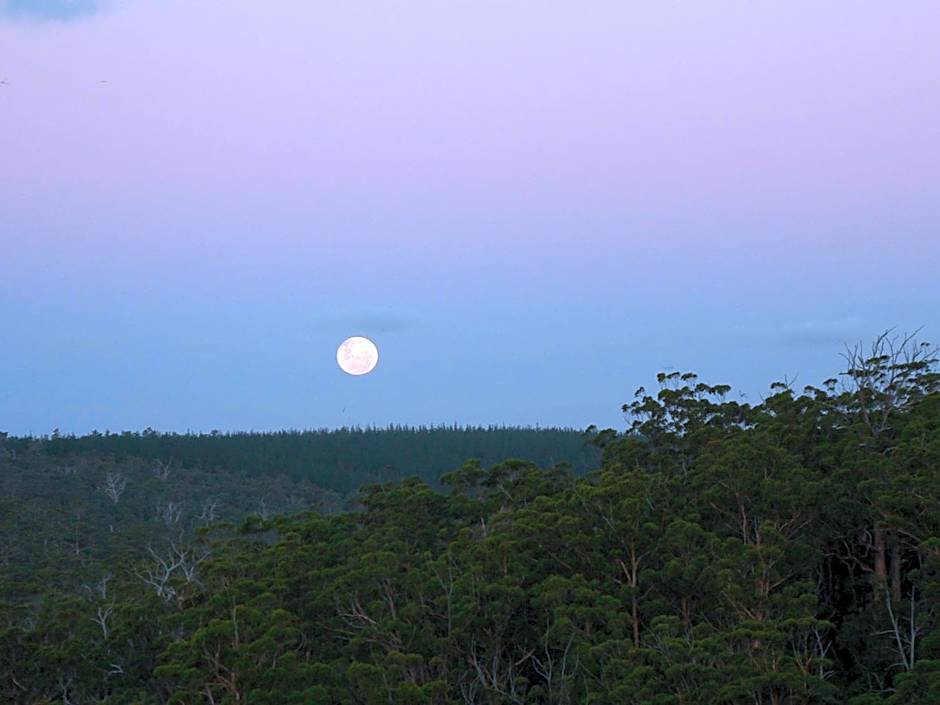 Scarlet Woods Chalets