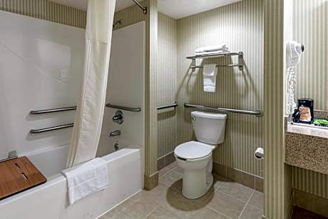 1 King Bed Nonsmoking Accessible