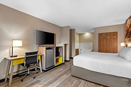 1 King Bed Studio Suite Smoking