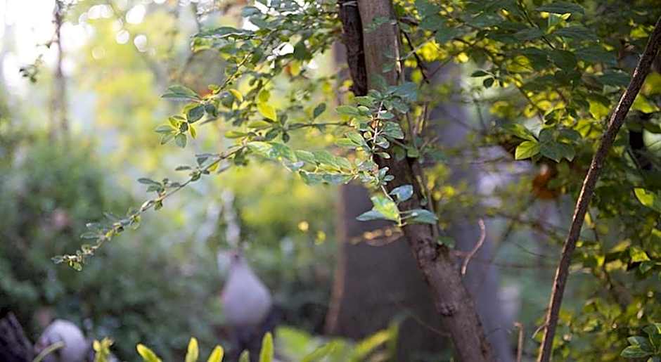 Vitrage Holiday Village and Spa