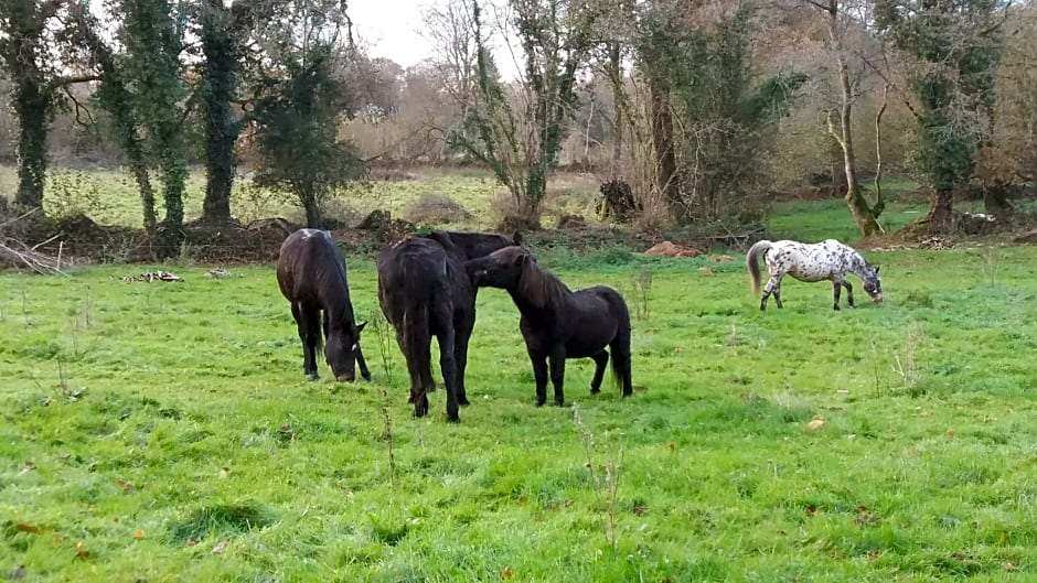 L' écrin de Pradou Glas