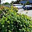 Wattle Grove Motel Maryborough