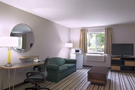 1 King Bed Deluxe Studio Suite Non-Smoking