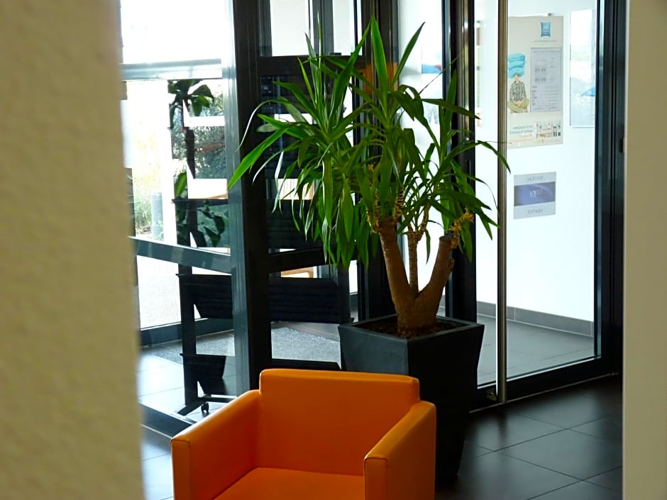 Ibis Budget Roanne Hotel