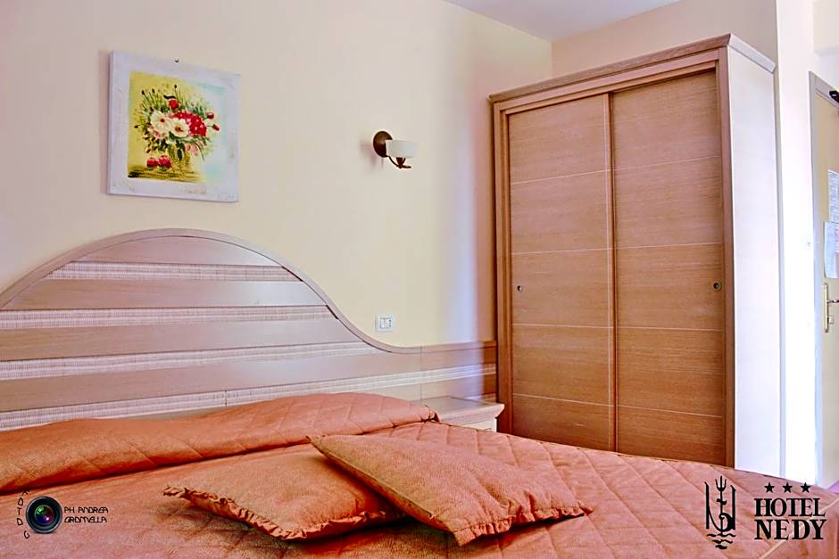 Hotel Nedy