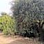 Sa Teria Village - Camere Deluxe -