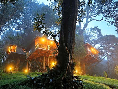 Nature Zone Jungle Resort