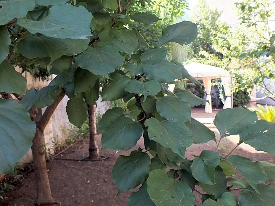 Villa Lazzari B&B Tra i due Mari