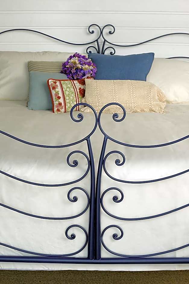 Gato Preto de Silves - Adults Only