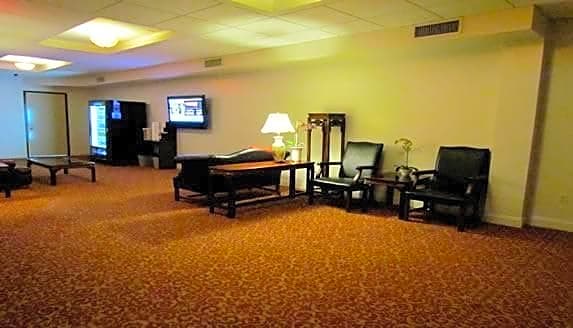 The Hotel 91