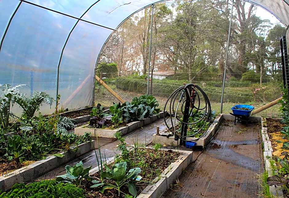 Tomah Retreat - Studio BREATHE with fireplace