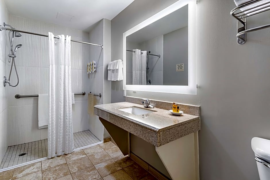 Best Western Plus Edinburg Inn And Suites