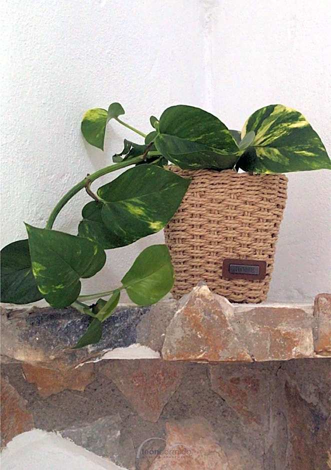 Hostal León Dormido