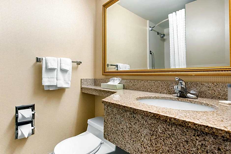 Quality Inn & Suites Charleston - Civic Center