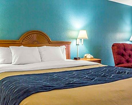 1 King Bed, Nonsmoking, Accessible