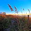 Holiday Sands North "On the Boardwalk"