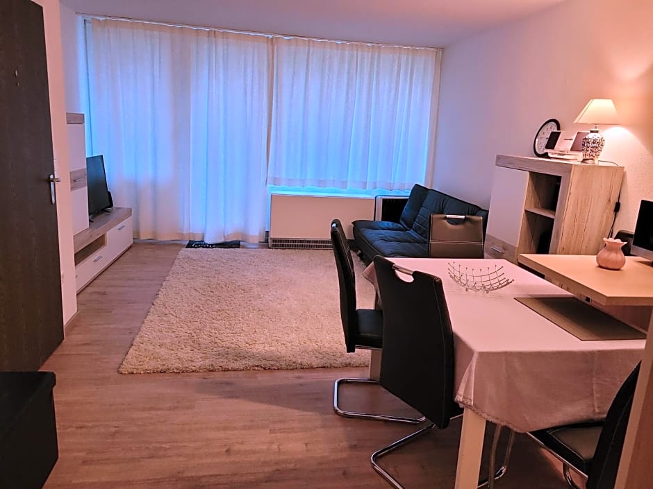 Ryan Apartament mit Netflix