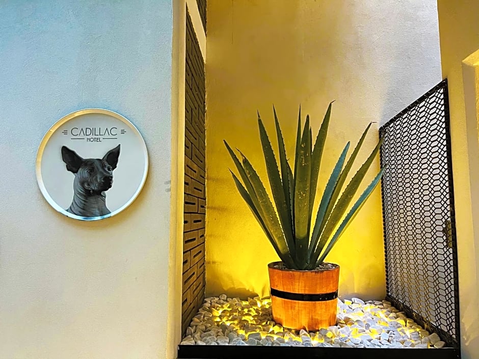 Cadillac Hotel Boutique