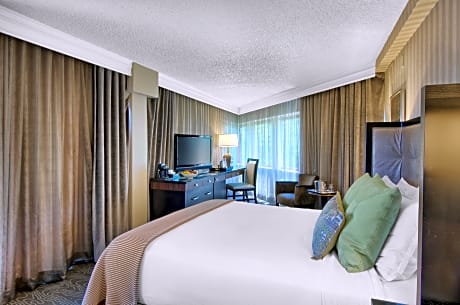 ADA Deluxe Room - 1 King Bed