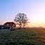 Bed & Breakfast de Vink