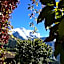 Hotel Bellevue - Traditional Swiss Hideaway