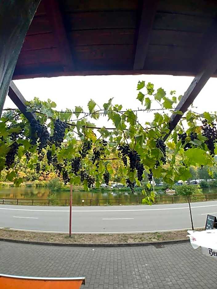 Hatzenporter Paradies