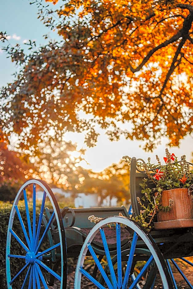 Basse Provence Country House